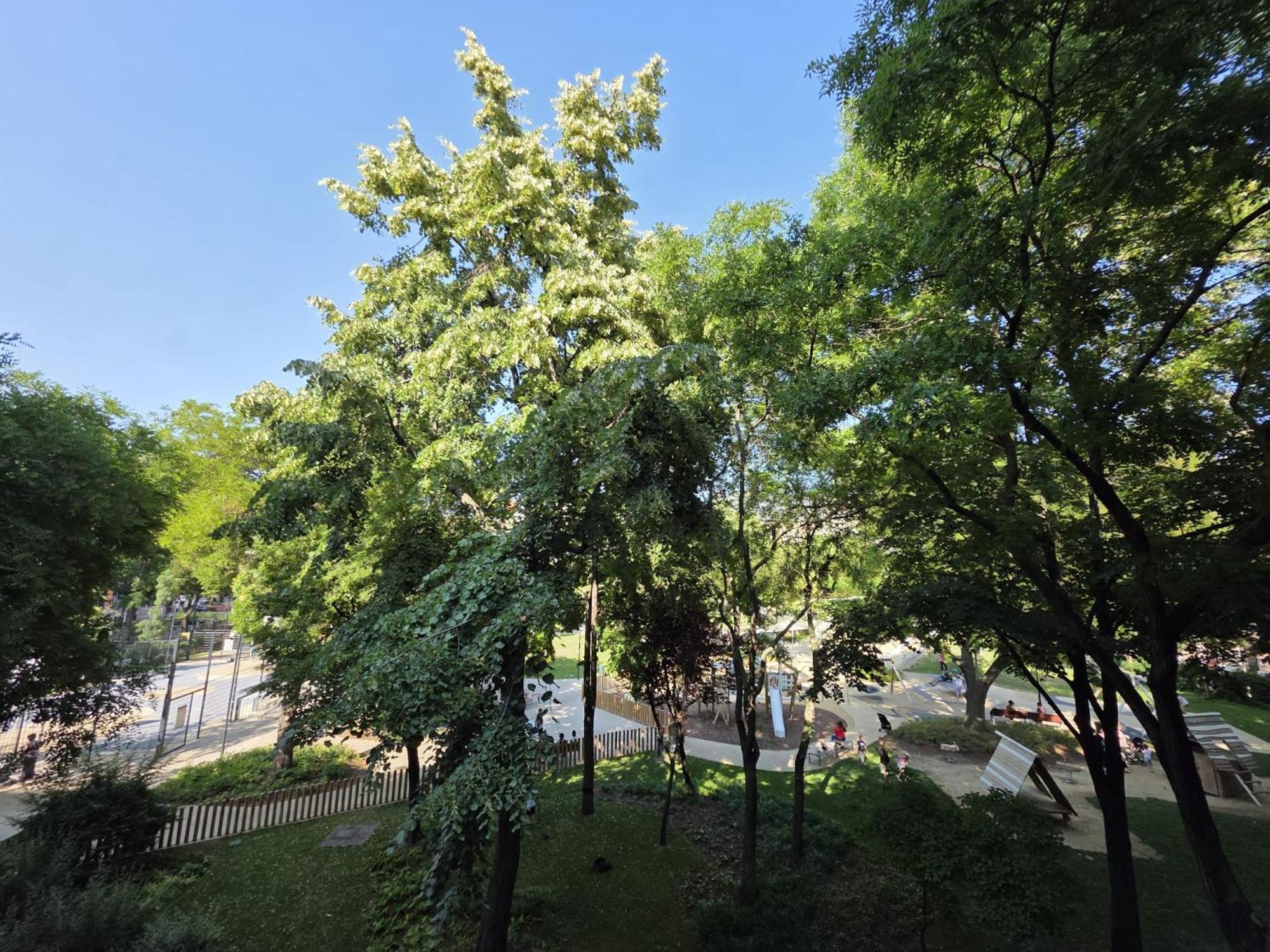 Location In Budapest! Budapeszt